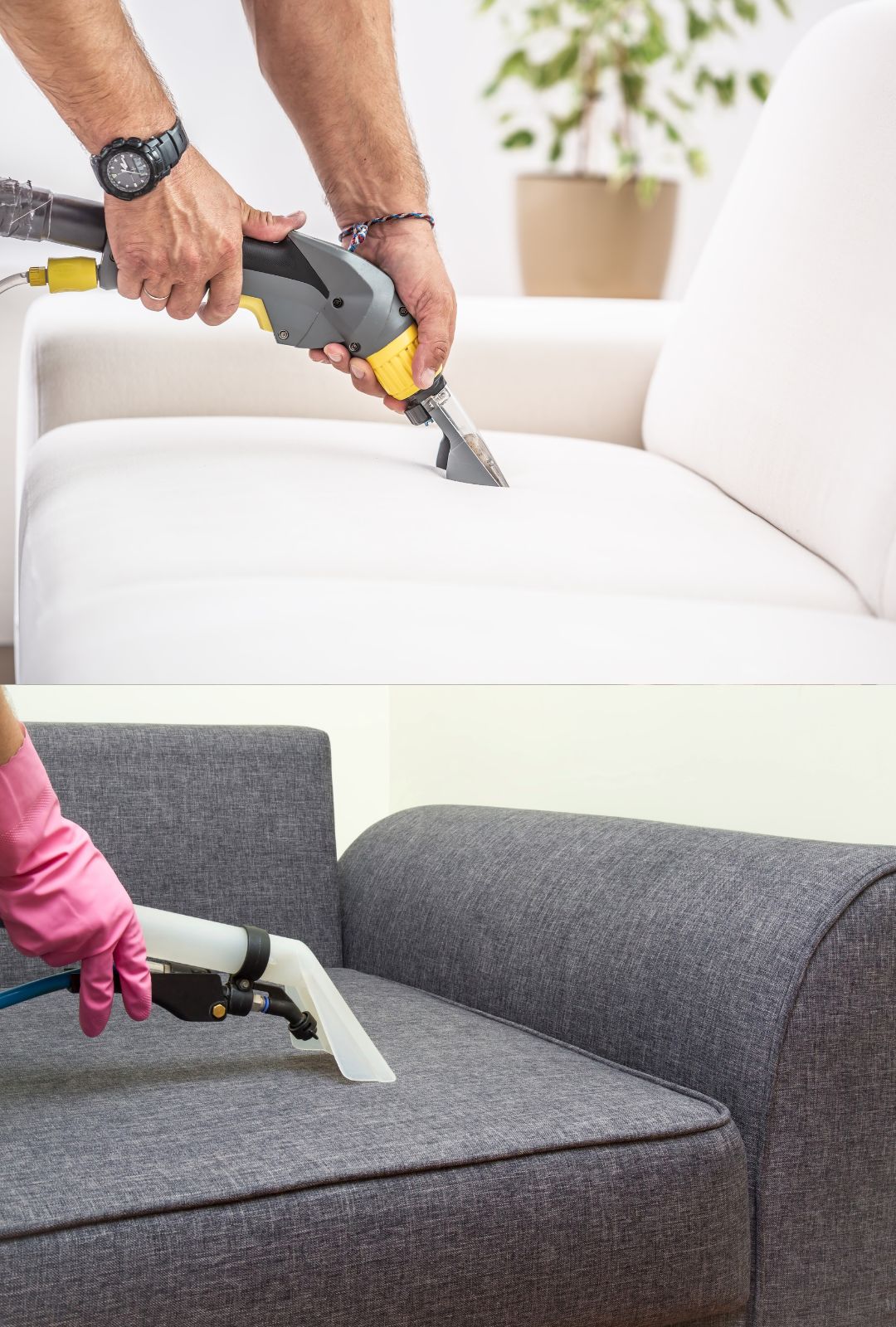 Upholstery extraction cleaning on a white fabric sofa