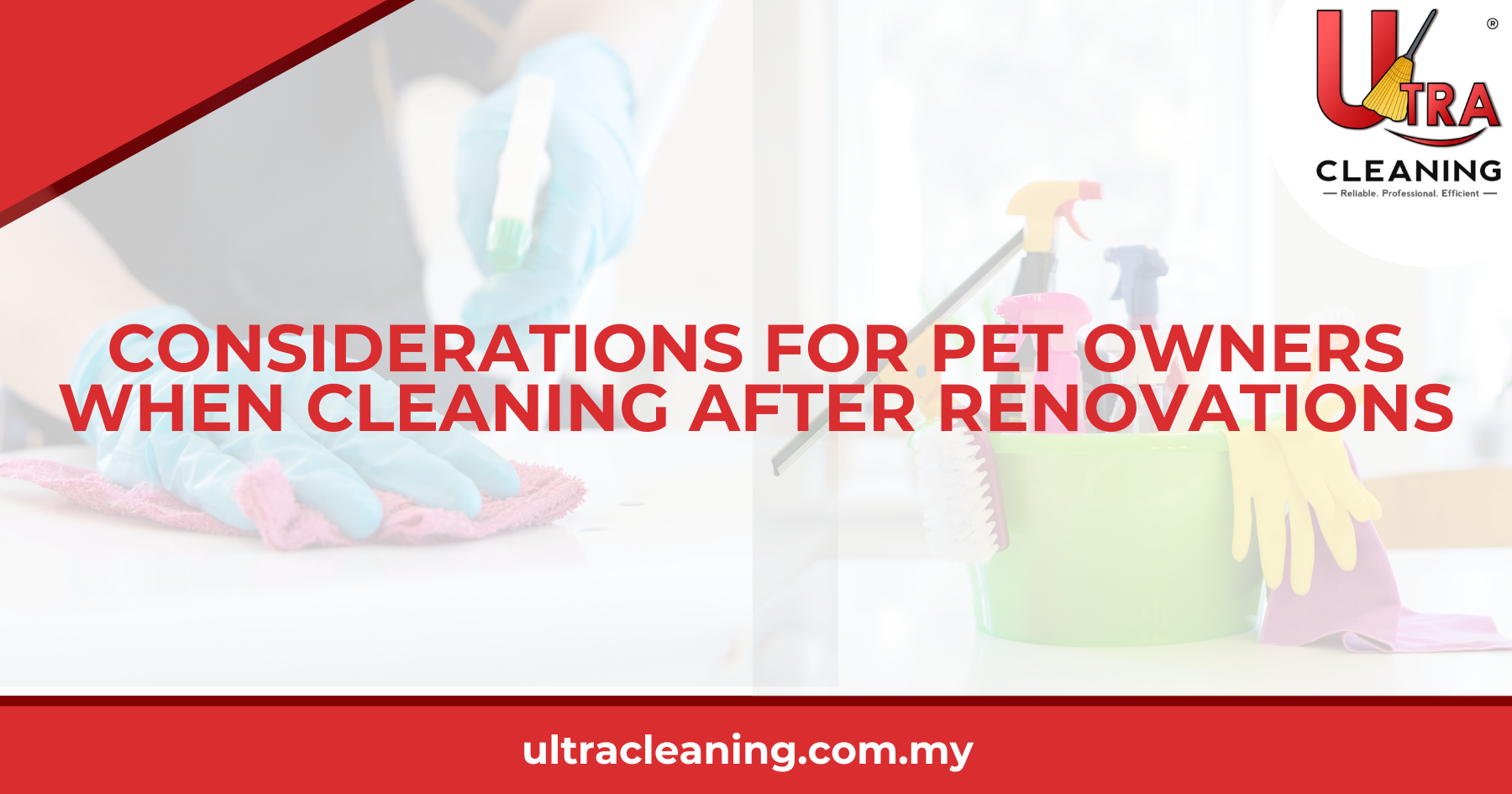 Considerations for Pet Owners When Cleaning After Renovations