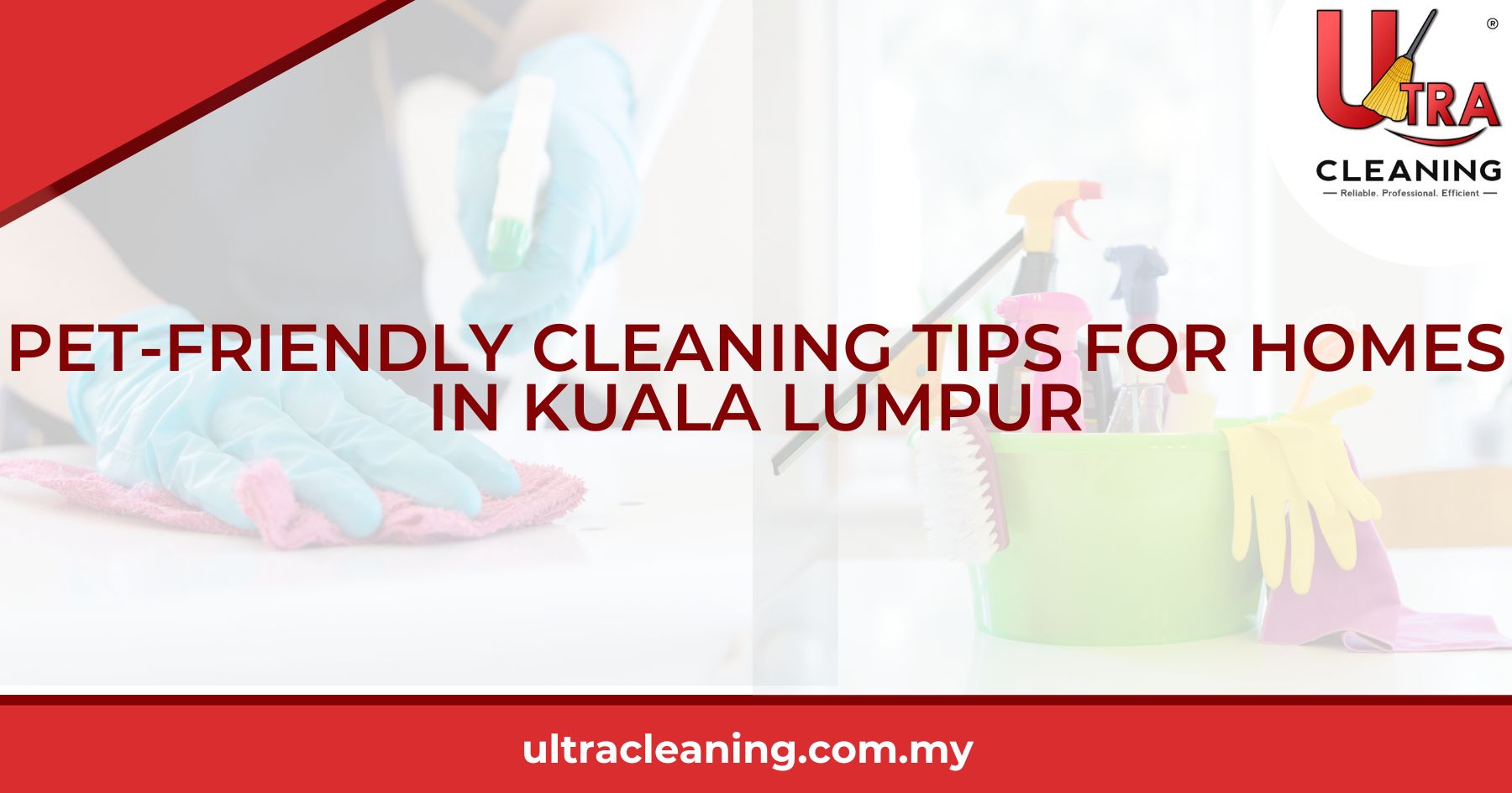PET-FRIENDLY CLEANING TIPS FOR HOMES IN KUALA LUMPUR
