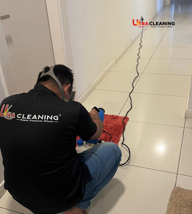 Professional Pest Control Service