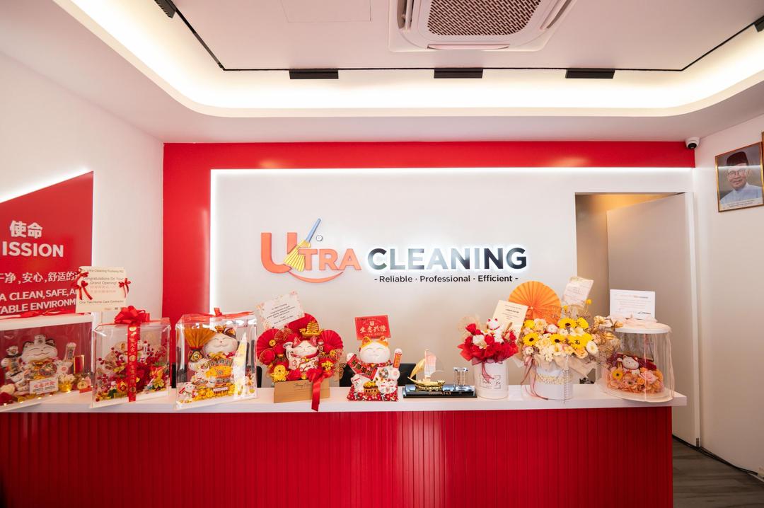 Ultra Cleaning Modern Interior